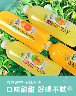 探索網紅果汁風潮 橙汁、西柚、白桃、哈密瓜混合果飲的批發新機遇